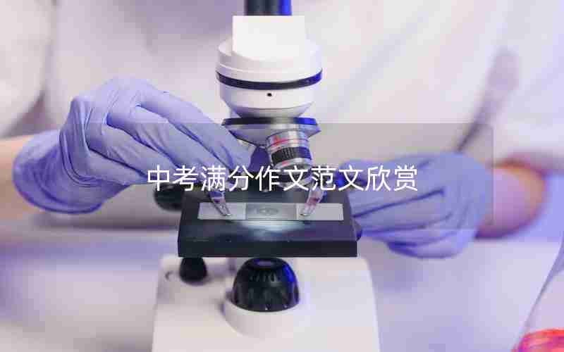 中考满分作文范文欣赏