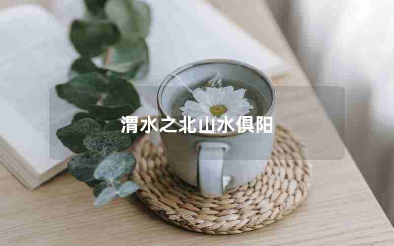 渭水之北山水俱阳