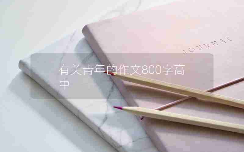 有关青年的作文800字高中