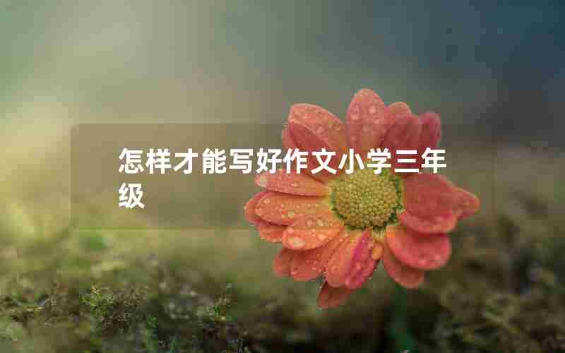 怎样才能写好作文小学三年级