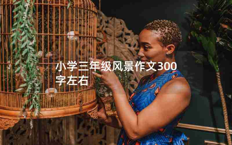 小学三年级风景作文300字左右