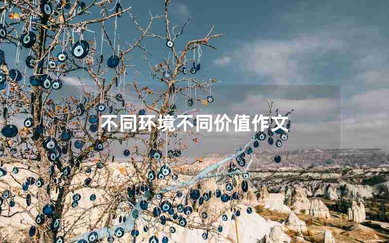 不同环境不同价值作文