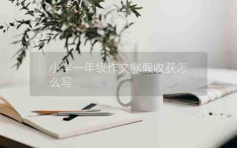 小学一年级作文寒假收获怎么写