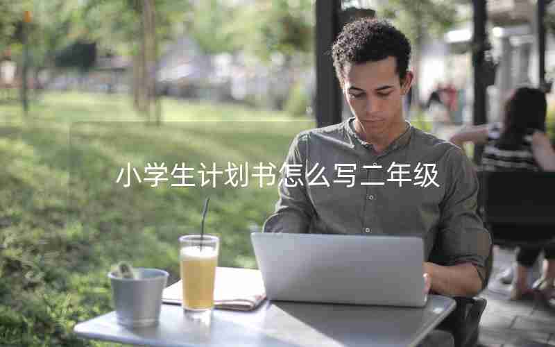 小学生计划书怎么写二年级