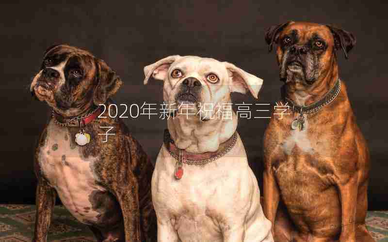 2020年新年祝福高三学子