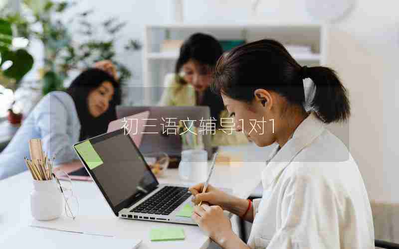 初三语文辅导1对1