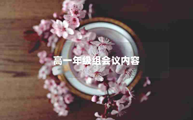 高一年级组会议内容