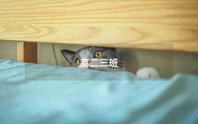 高二三班