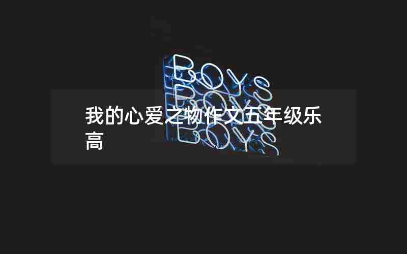 我的心爱之物作文五年级乐高