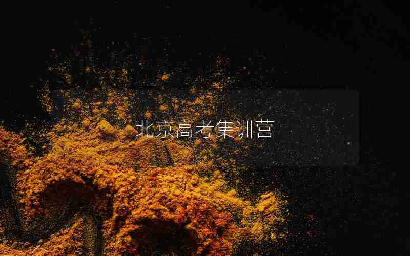 北京高考集训营