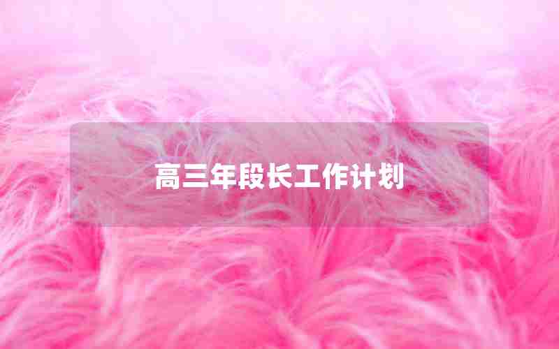 高三年段长工作计划