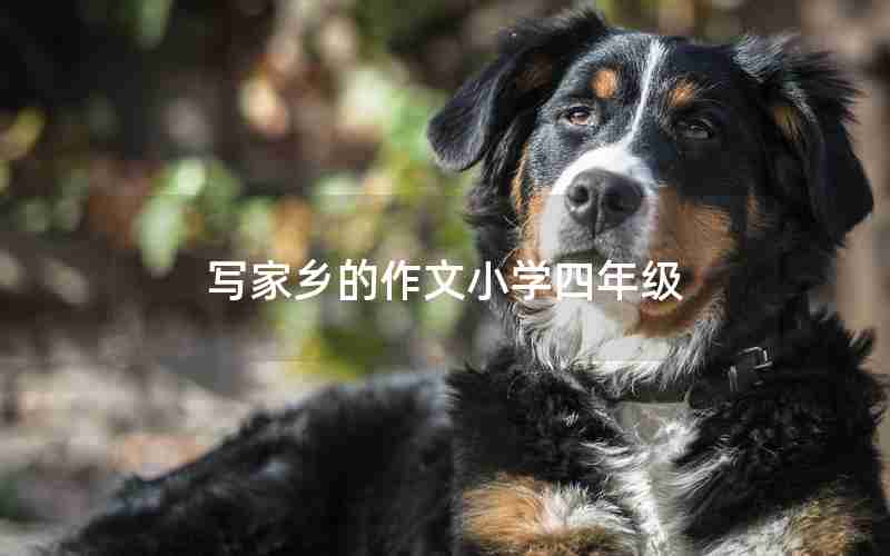 写家乡的作文小学四年级