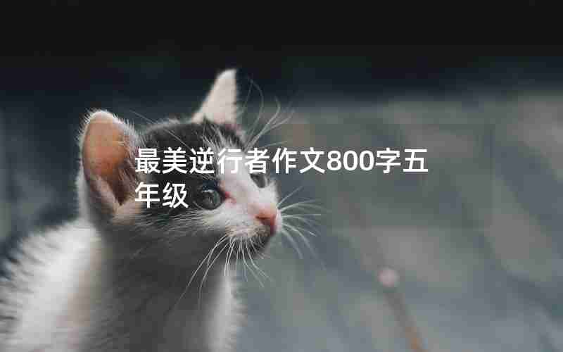 最美逆行者作文800字五年级