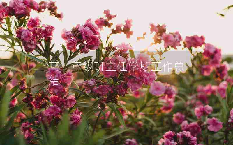 高二年级班主任学期工作总结