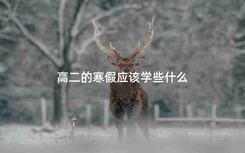 高二的寒假应该学些什么