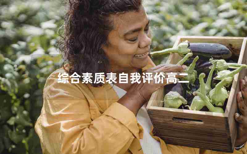 综合素质表自我评价高二
