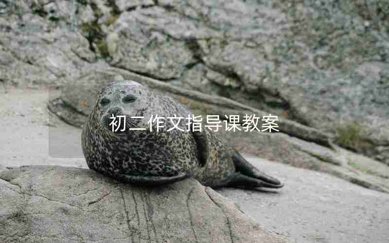 初二作文指导课教案
