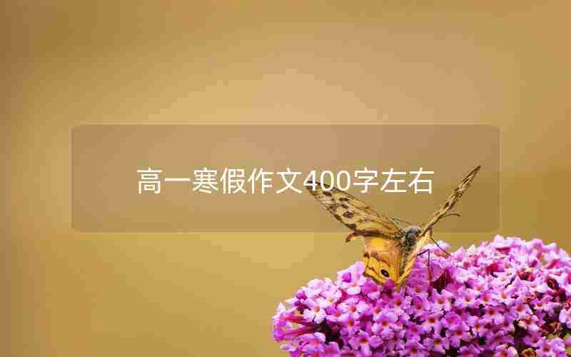 高一寒假作文400字左右