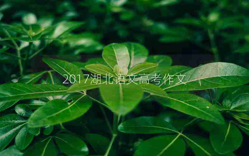 2017湖北语文高考作文