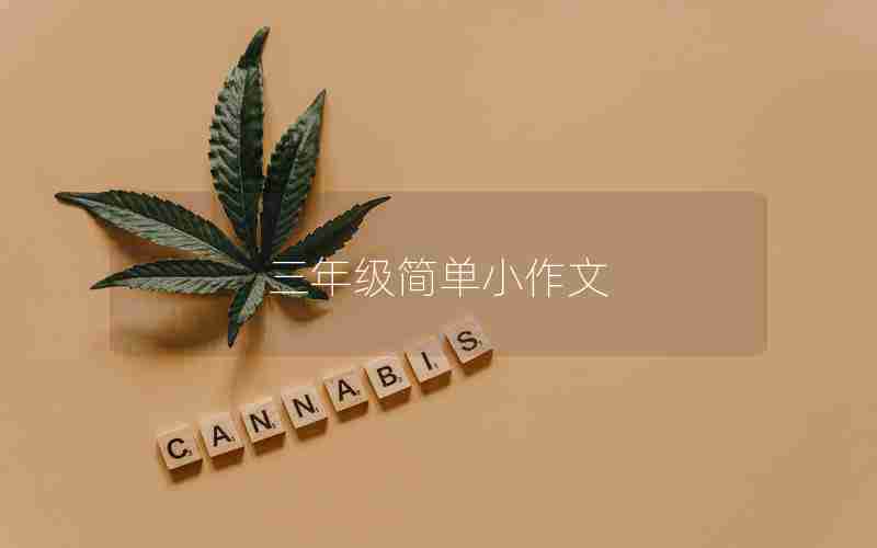 三年级简单小作文