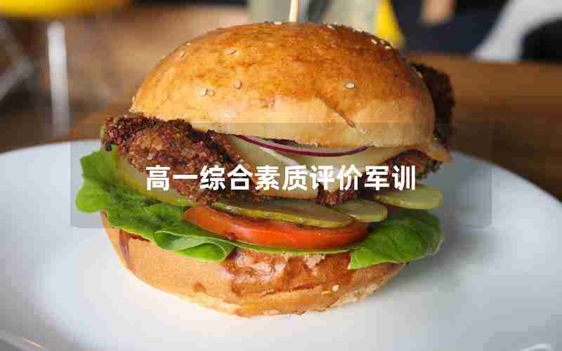 高一综合素质评价军训