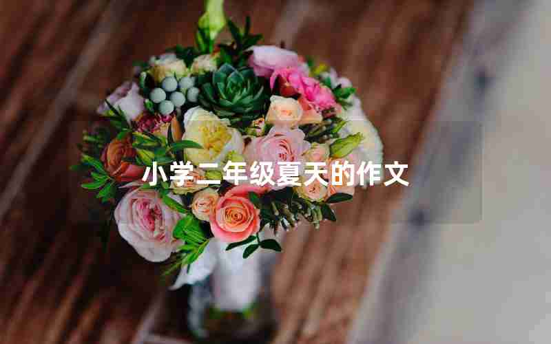 小学二年级夏天的作文