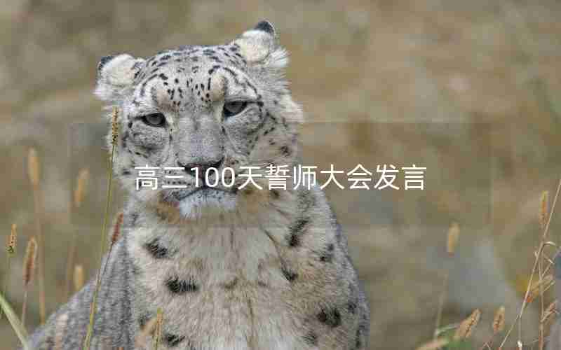 高三100天誓师大会发言