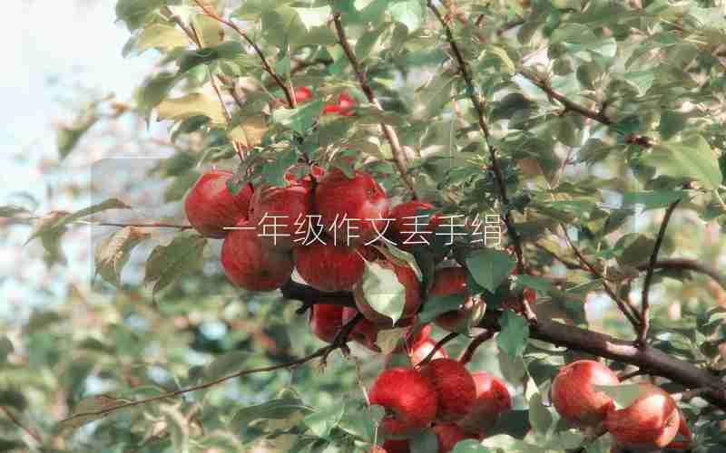 一年级作文丢手绢