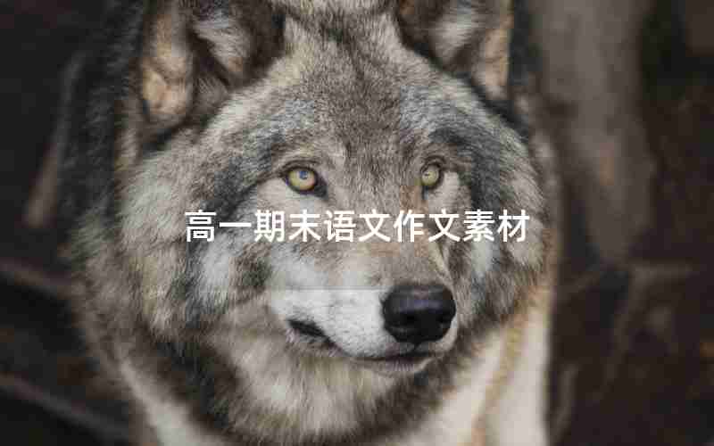 高一期末语文作文素材