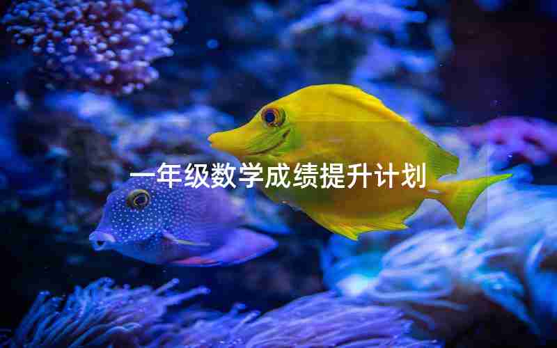 一年级数学成绩提升计划