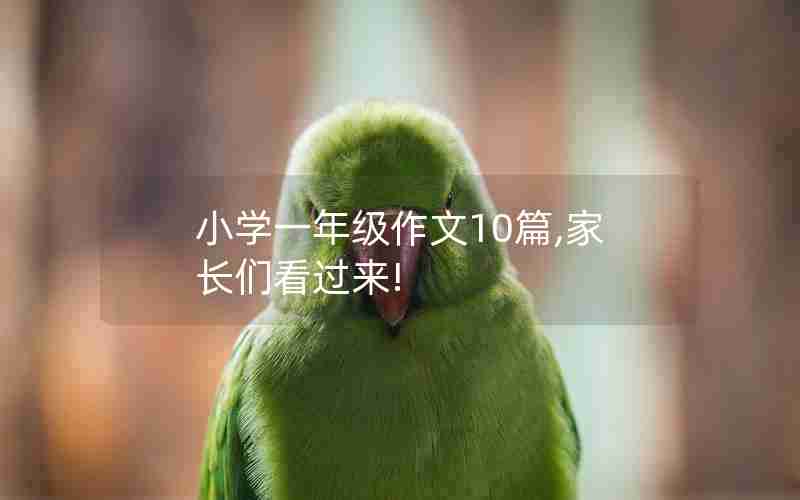 小学一年级作文10篇,家长们看过来!