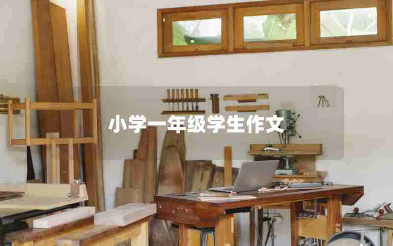 小学一年级学生作文