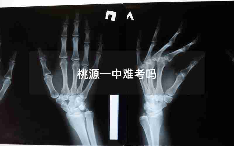 桃源一中难考吗