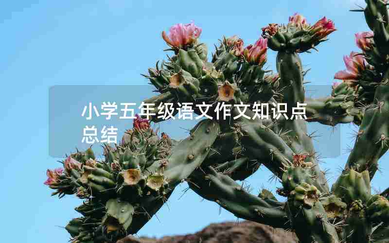 小学五年级语文作文知识点总结