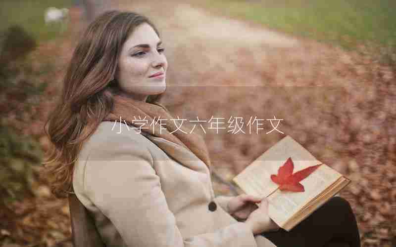 小学作文六年级作文