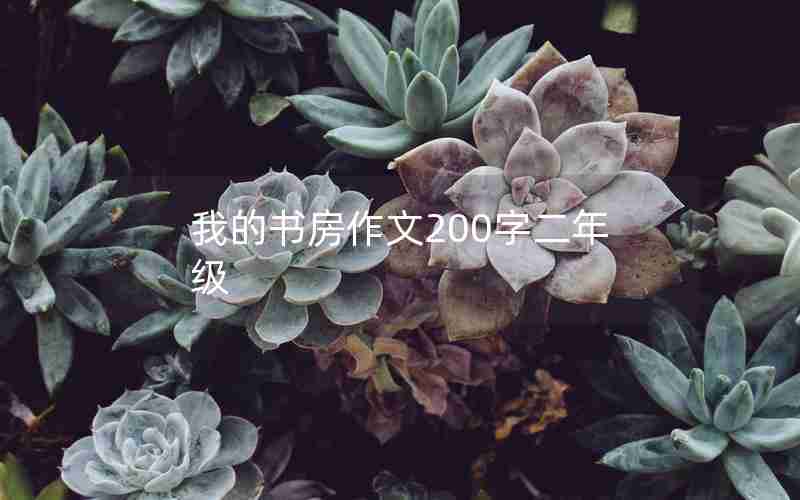 我的书房作文200字二年级