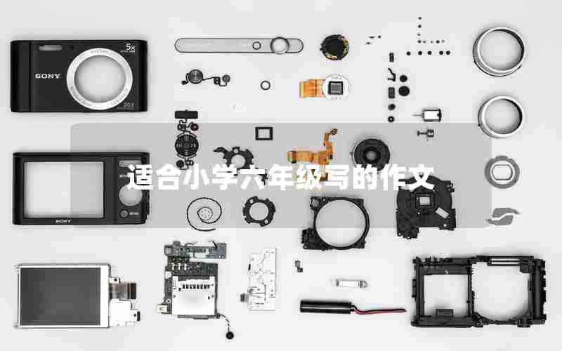 适合小学六年级写的作文