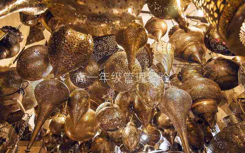 高一年级管理经验;高一年级管理思路与计划