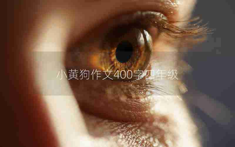 小黄狗作文400字四年级