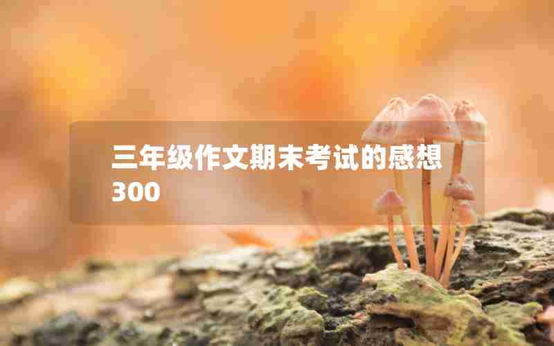 三年级作文期末考试的感想300