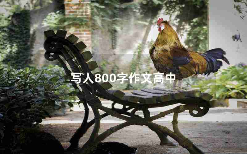 写人800字作文高中