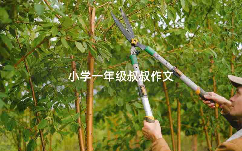小学一年级叔叔作文