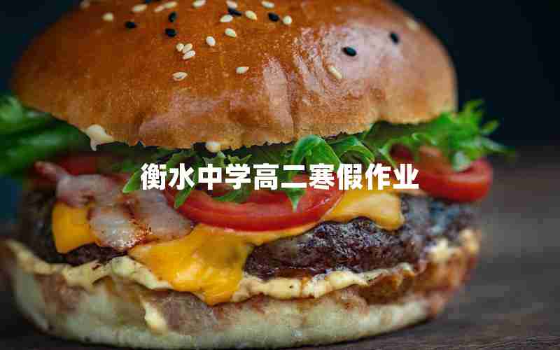 衡水中学高二寒假作业