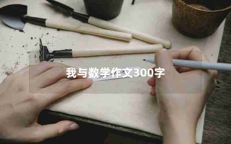 我与数学作文300字