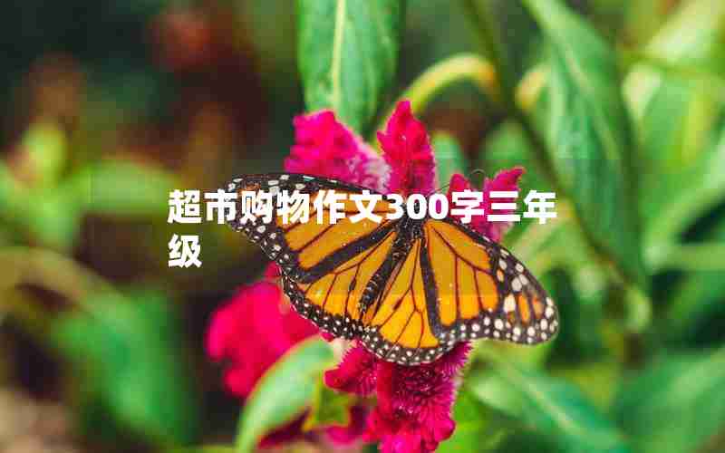 超市购物作文300字三年级