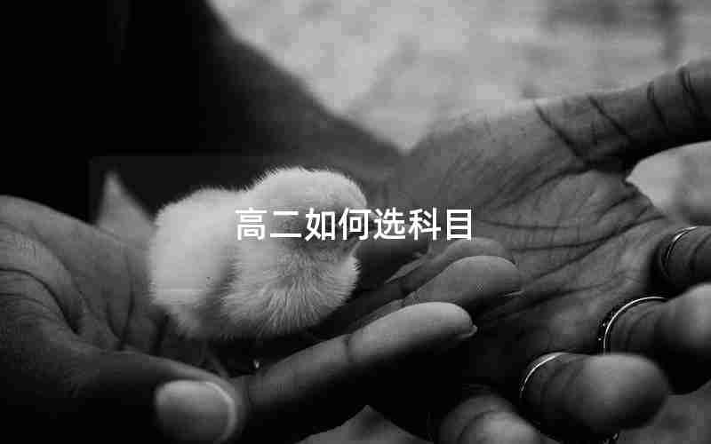 高二如何选科目