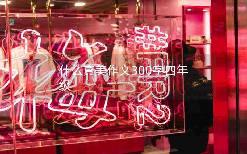 什么真美作文300字四年级