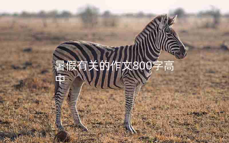 暑假有关的作文800字高中