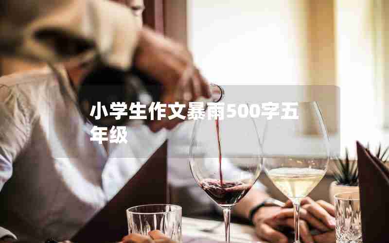 小学生作文暴雨500字五年级