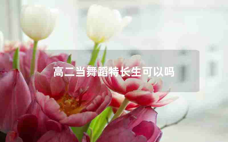 高二当舞蹈特长生可以吗